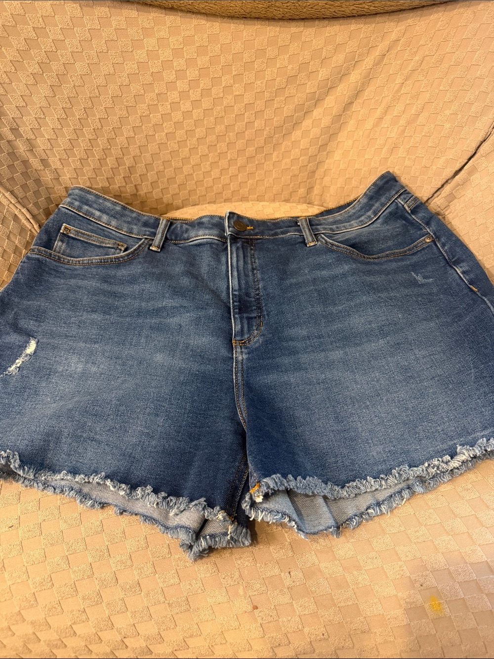 LC Lauren Conrad Dark Blue Frayed Hem Denim Shorts